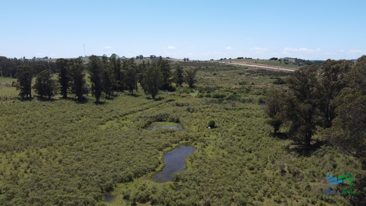 Chacra ID.4349 - Vendo chacra ruta 9, cerca de Pan de Azúcar, Maldonado. A 45´ de Punta del Este. Financia.