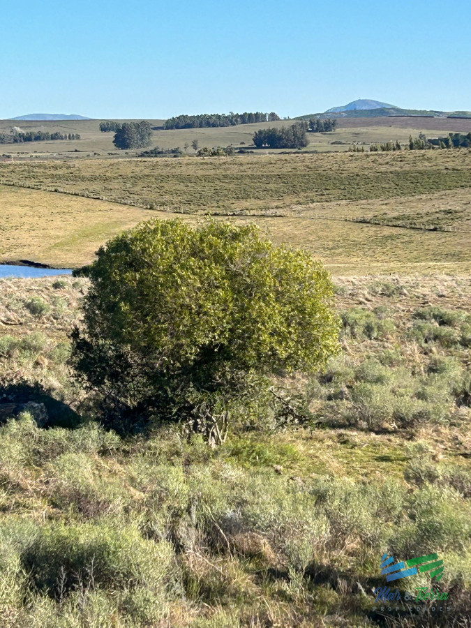Chacra ID.5358 - 15 Has con todo lo que buscas, vistas increíbles, cañada, tajamar, monte nativo y a tan solo 30 minutos de Punta ! Financia...
