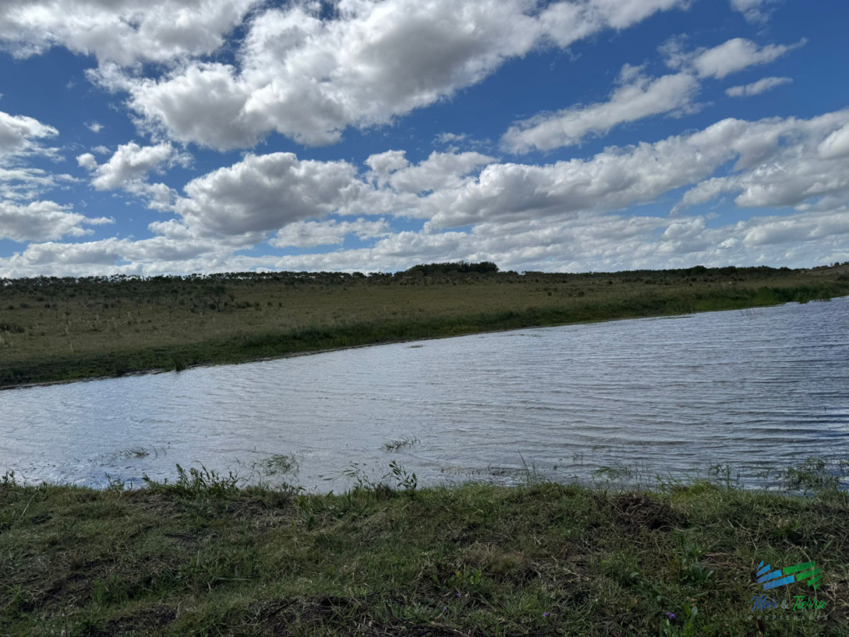 Chacra ID.5738 - En venta chacra 20 hectareas con Olivos en Ruta 9 cerca de Pan de Azúcar.