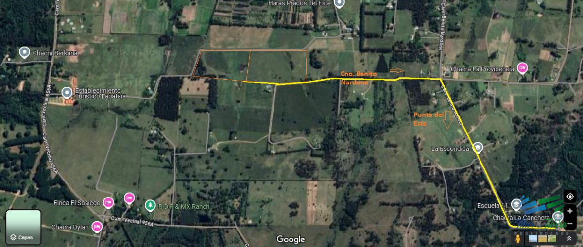 La Pataia - GoPunta - Portal Inmobiliario de Punta del Este - Maldonado