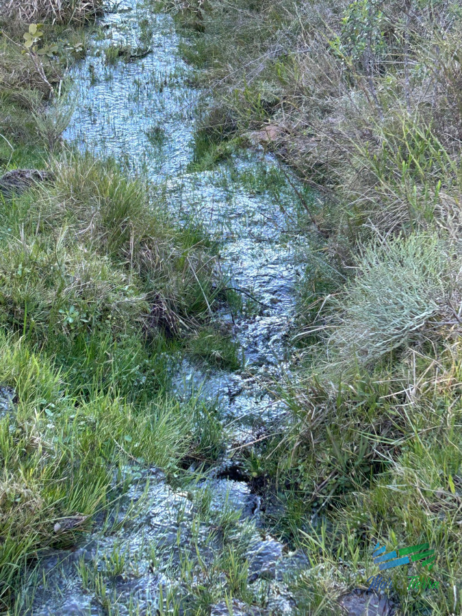 Chacra ID.5369 - Chacras de 5 Has en la Sierras, Financia hasta 6 años con una entrega del 20%