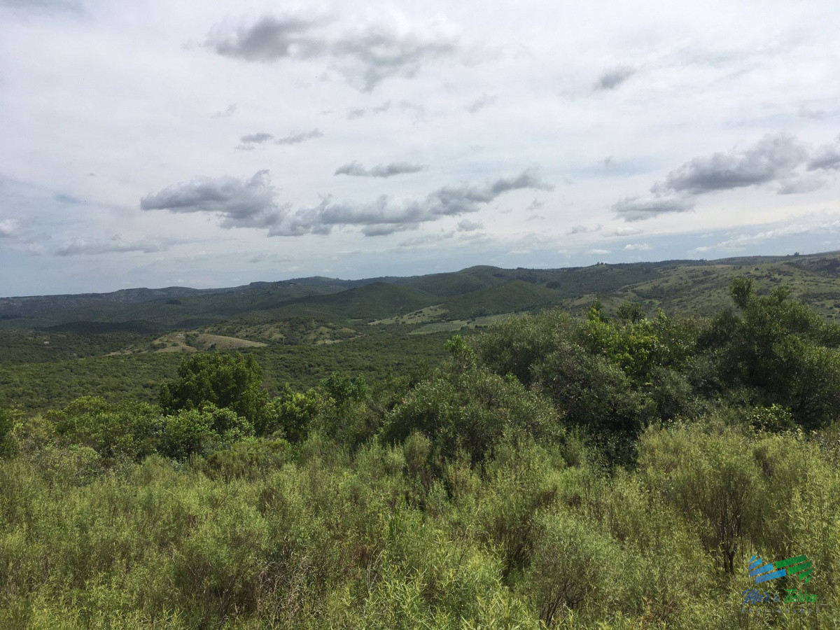 Chacra ID.4144 - Chacras con vistas increibles, monte nativo, naturaleza y tranquilidad