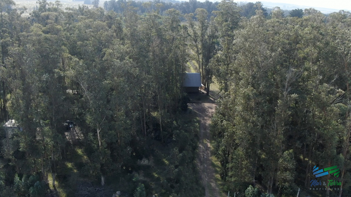 Chacra ID.3991 - Única chacra con producción de arándanos en laguna del sauce