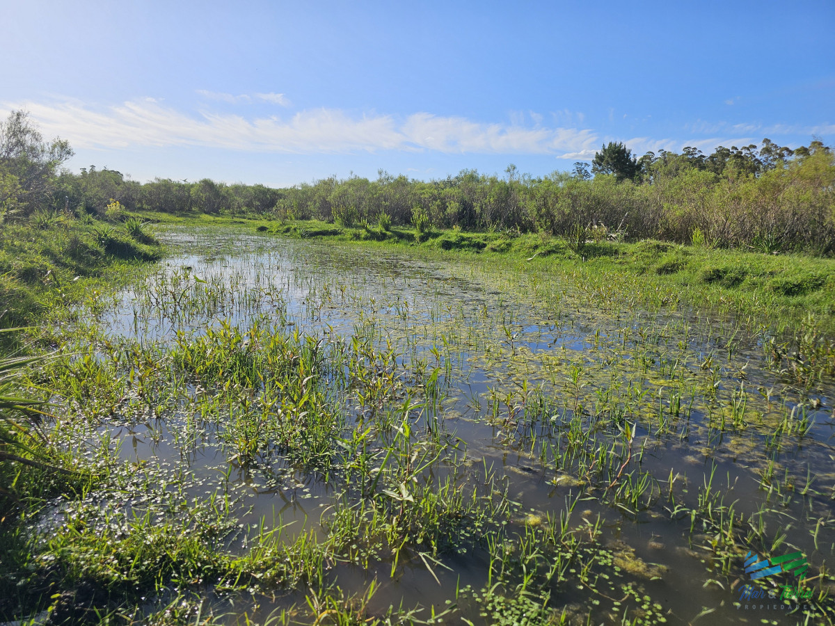 Chacra ID.4349 - Vendo chacra ruta 9, cerca de Pan de Azúcar, Maldonado. A 45´ de Punta del Este. Financia.