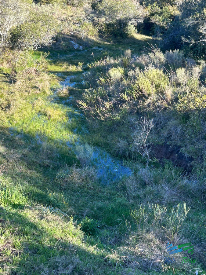 Chacra ID.5358 - 15 Has con todo lo que buscas, vistas increíbles, cañada, tajamar, monte nativo y a tan solo 30 minutos de Punta ! Financia...