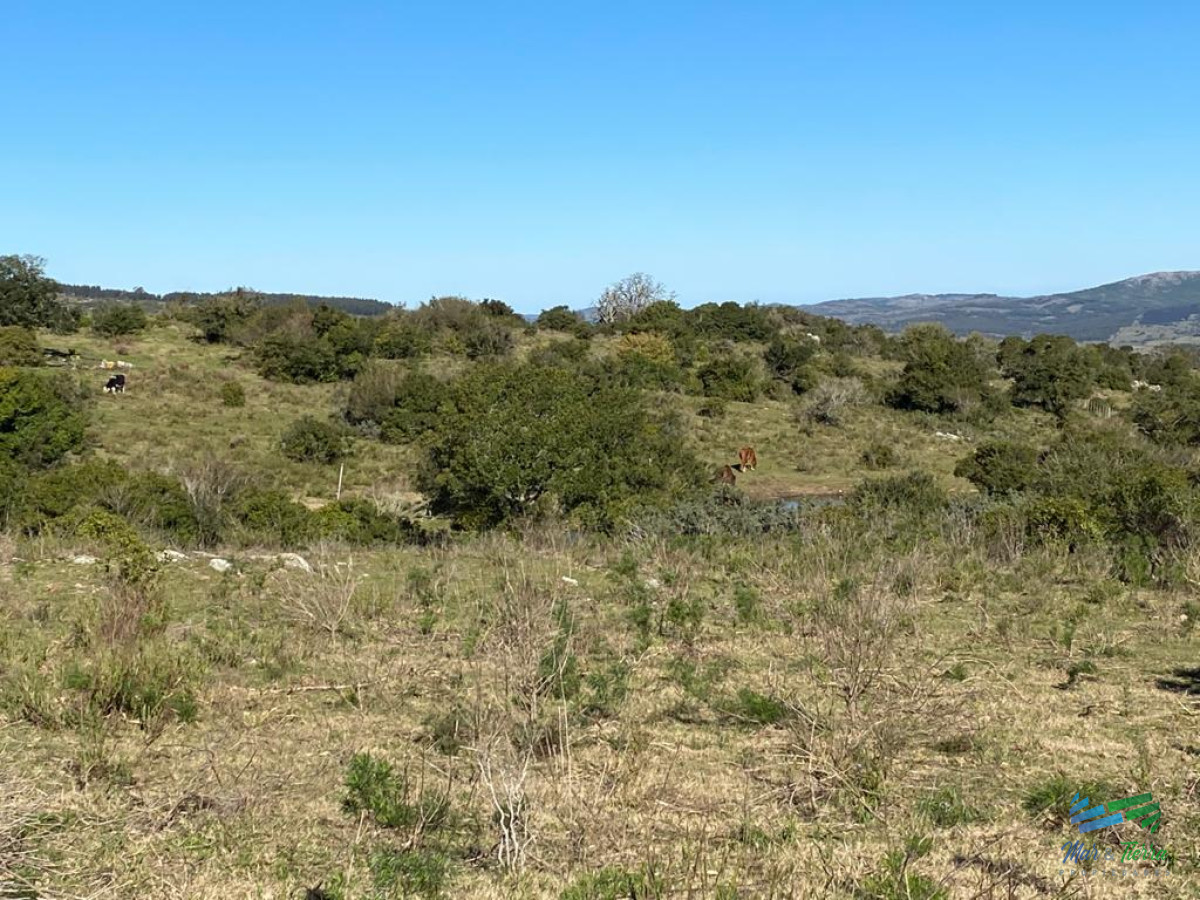Chacra ID.2869 - En venta, chacra con vistas panorámicas y monte nativo !!!