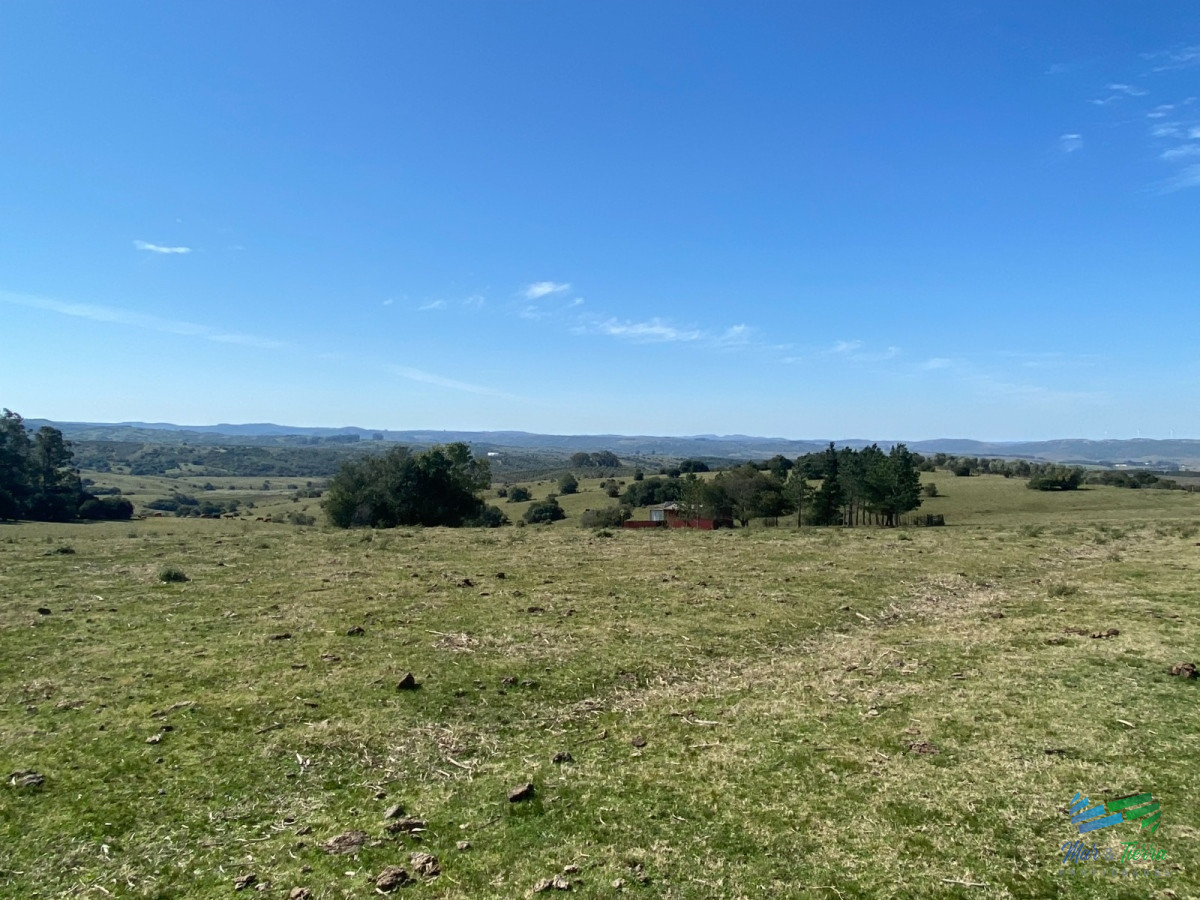 Chacra ID.4546 - Chacras con vistas Únicas, Olivos, Sierras y descanso... !! Atención Precio Rebajado !!