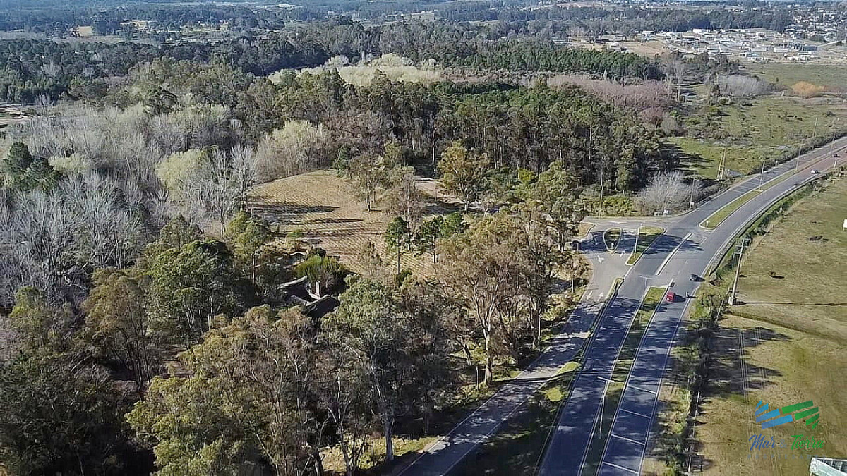 Chacra ID.5438 - Venta de chacra en Camino Lussich Punta Ballena 