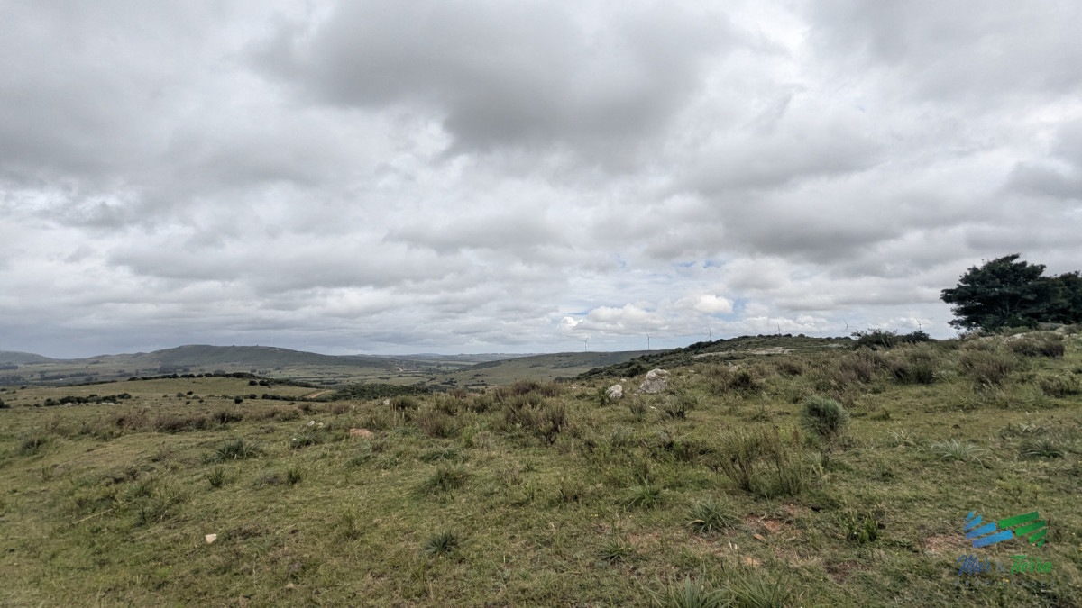 Chacra ID.5599 - Venta de Chacra de 3 has en Valle San Nicolas Sierra de Los Caracoles 