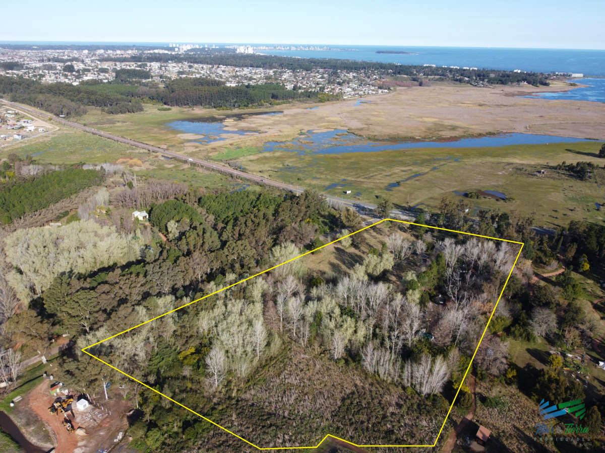Chacra ID.5438 - Venta de chacra en Camino Lussich Punta Ballena 