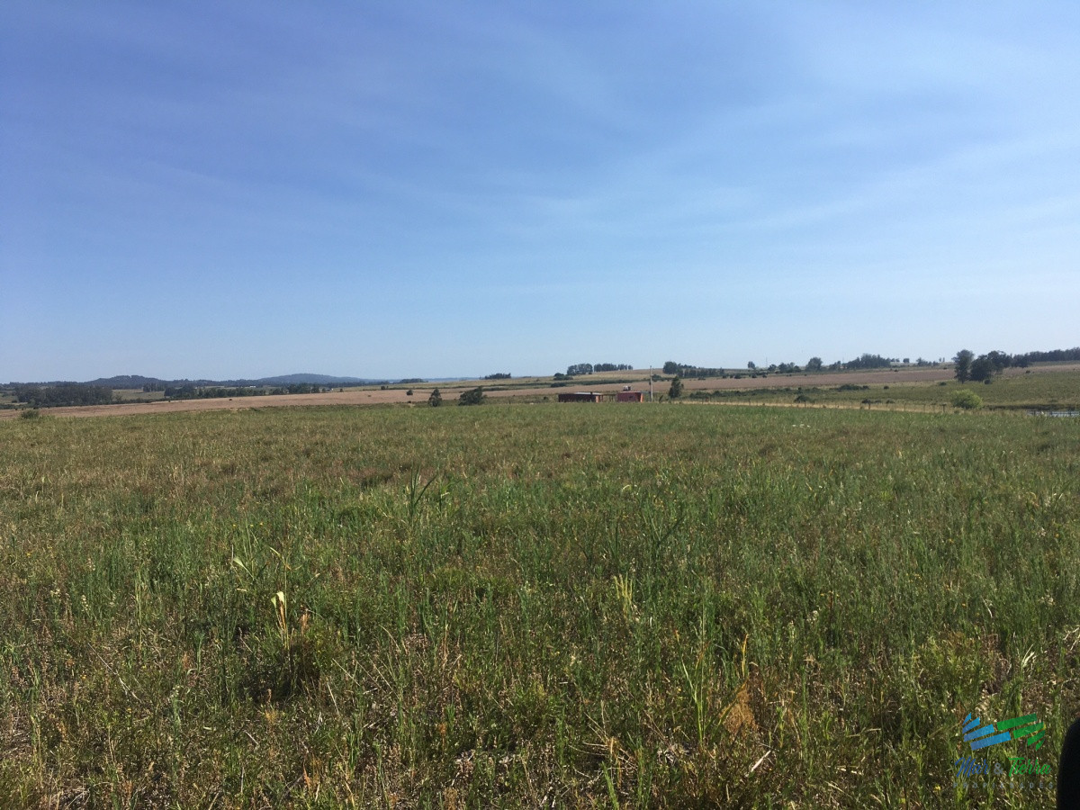 Chacra ID.3805 - 5 Has a 1 hora de Mdeo, con vistas increíbles.