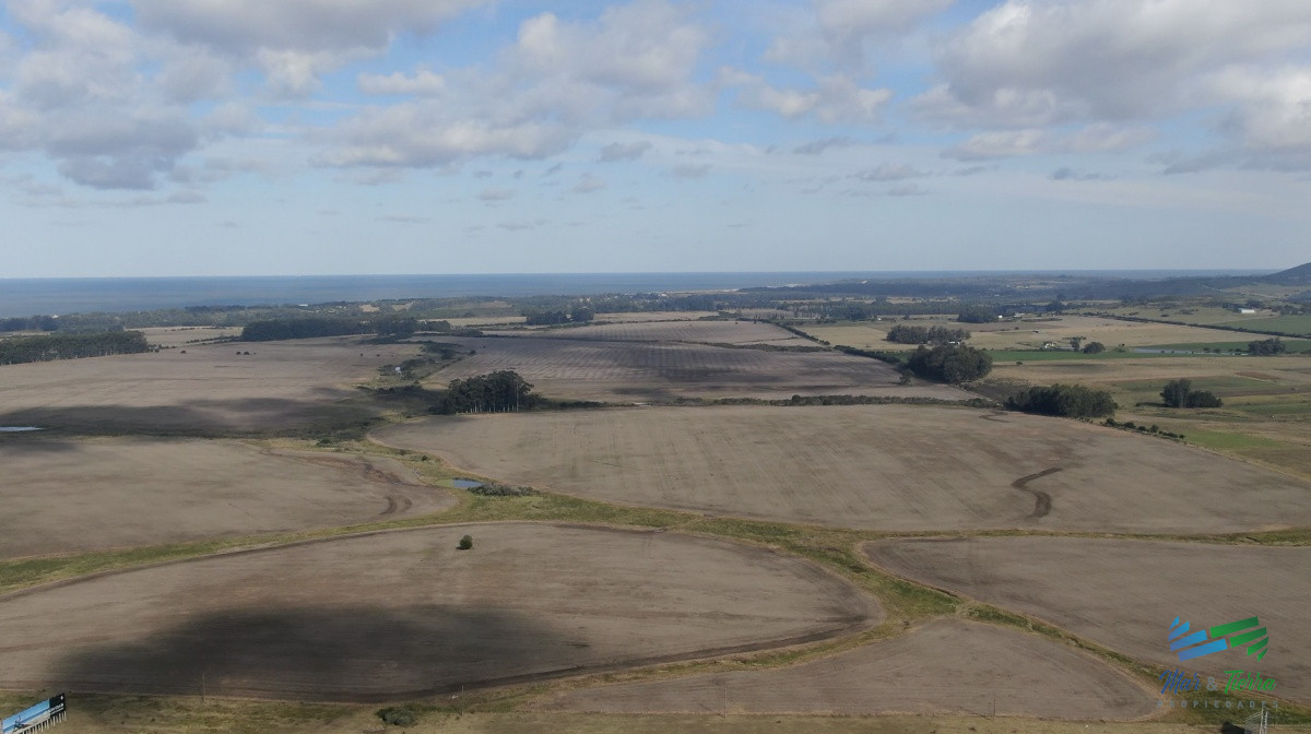 Chacra ID.3991 - Única chacra con producción de arándanos en laguna del sauce