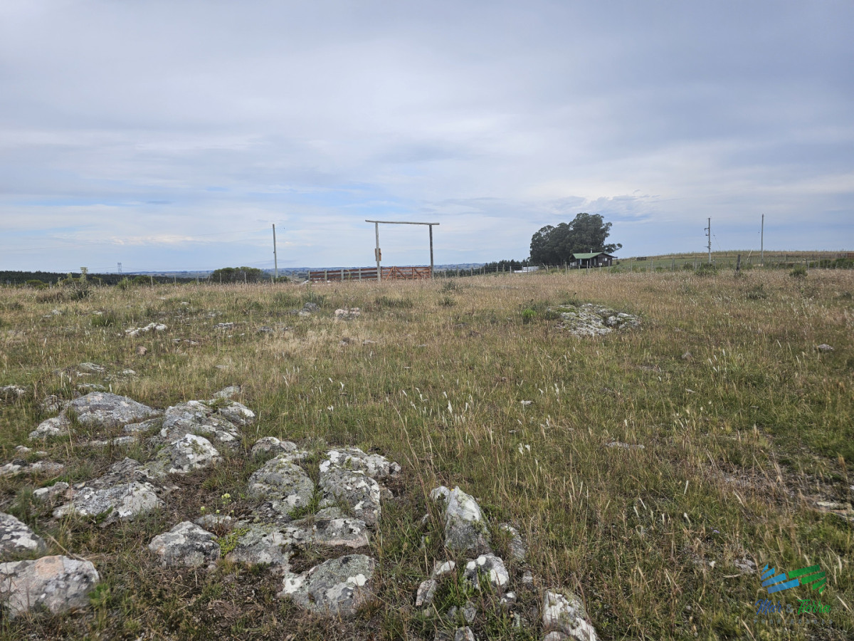 Chacra ID.5629 - En venta chacra 3 hectareas, proxima ruta 39, a pocos km de San Carlos.