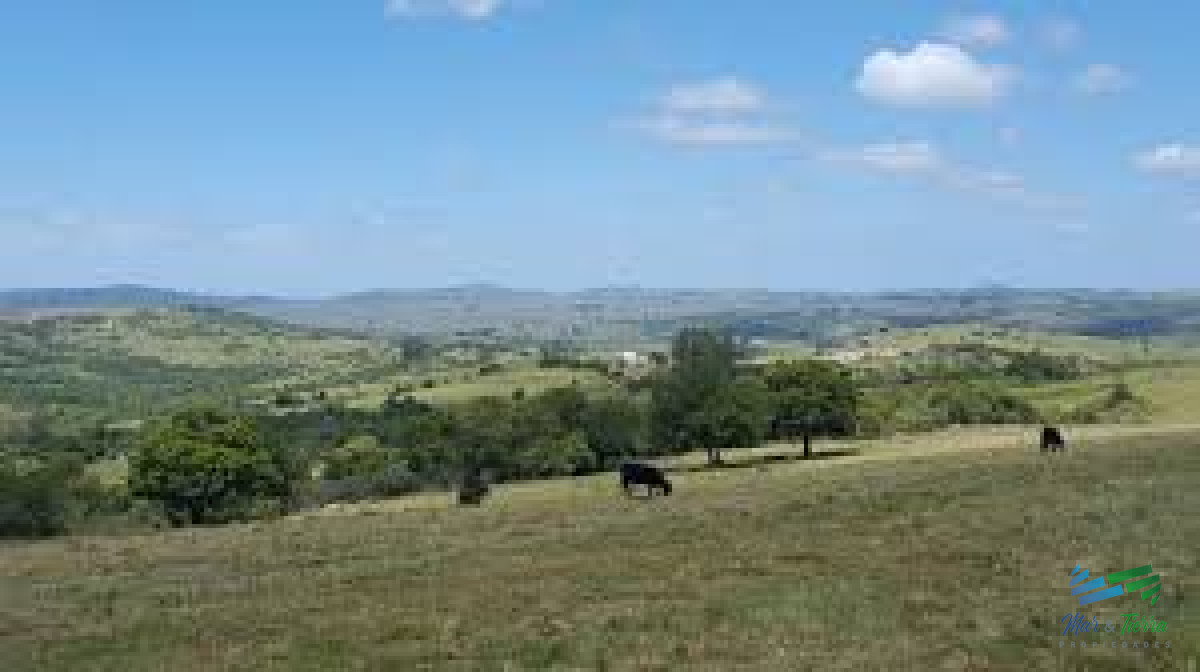 Chacra ID.4546 - Chacras con vistas Únicas, Olivos, Sierras y descanso... !! Atención Precio Rebajado !!