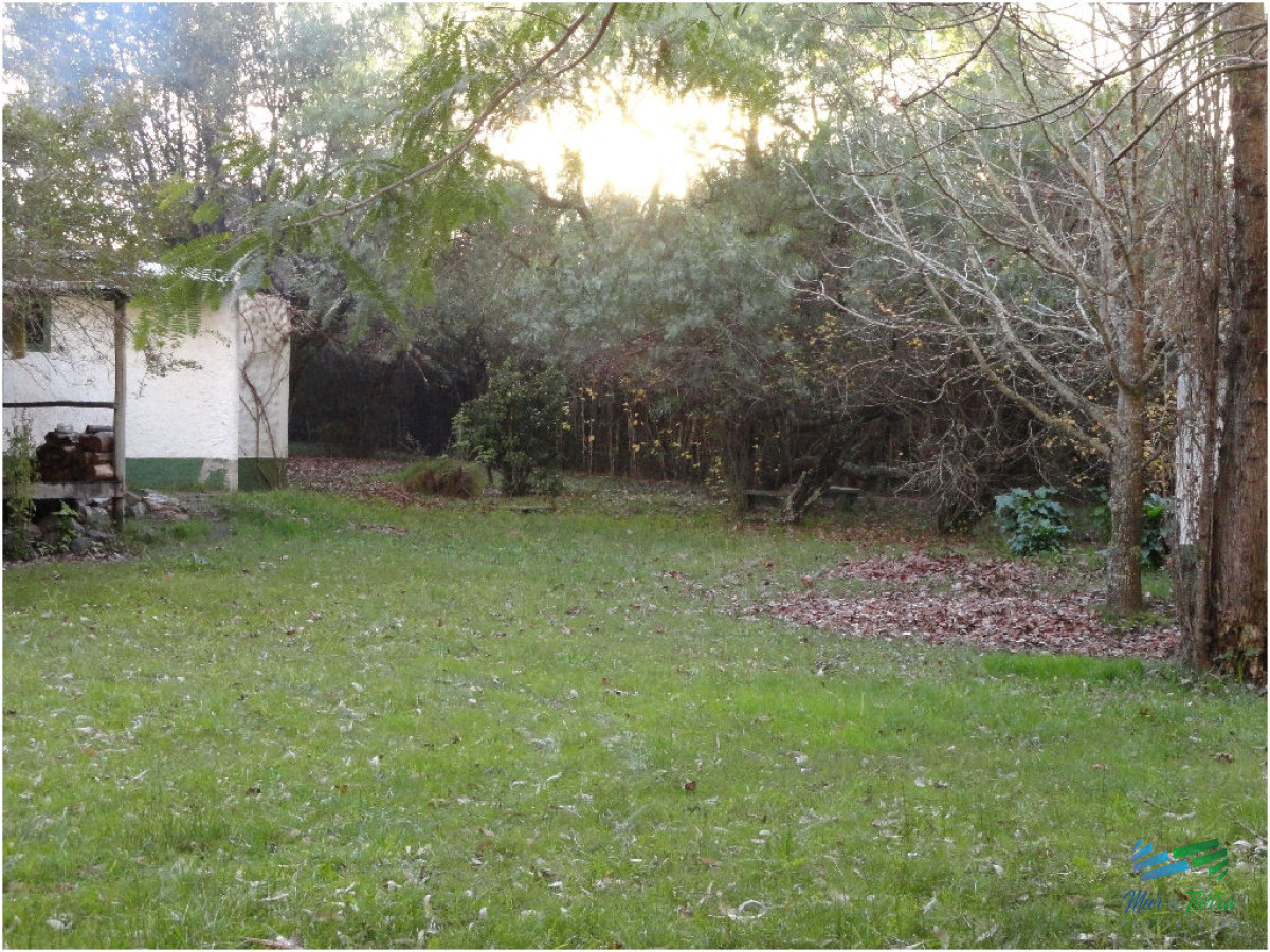 Chacra ID.2047 - Media Hectárea con casa sobre R.9