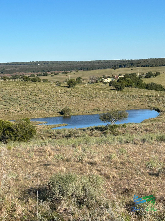 Chacra ID.5358 - 15 Has con todo lo que buscas, vistas increíbles, cañada, tajamar, monte nativo y a tan solo 30 minutos de Punta ! Financia...