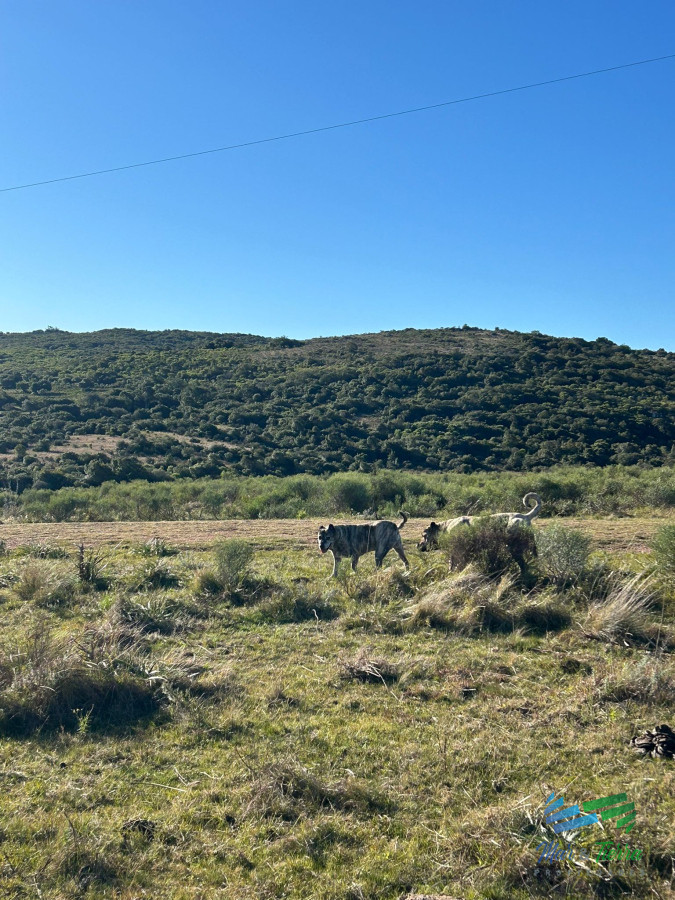 Chacra ID.5370 - 3 Has en un entorno de sierras único, Financiado entrega un 20% y el saldo hasta 12 cuotas semestrales