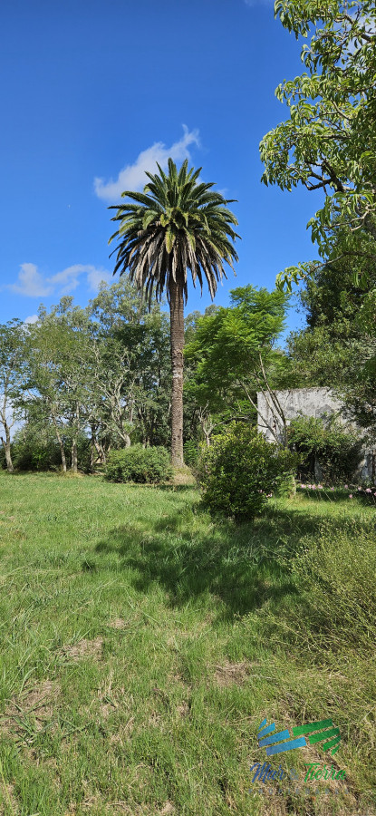 Zona Rural - GoPunta - Portal Inmobiliario de Punta del Este - Maldonado