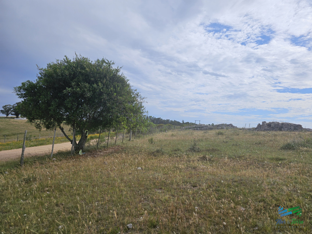 Chacra ID.5628 - En venta chacra 3 hectareas, proxima ruta 39, a pocos km de San Carlos.