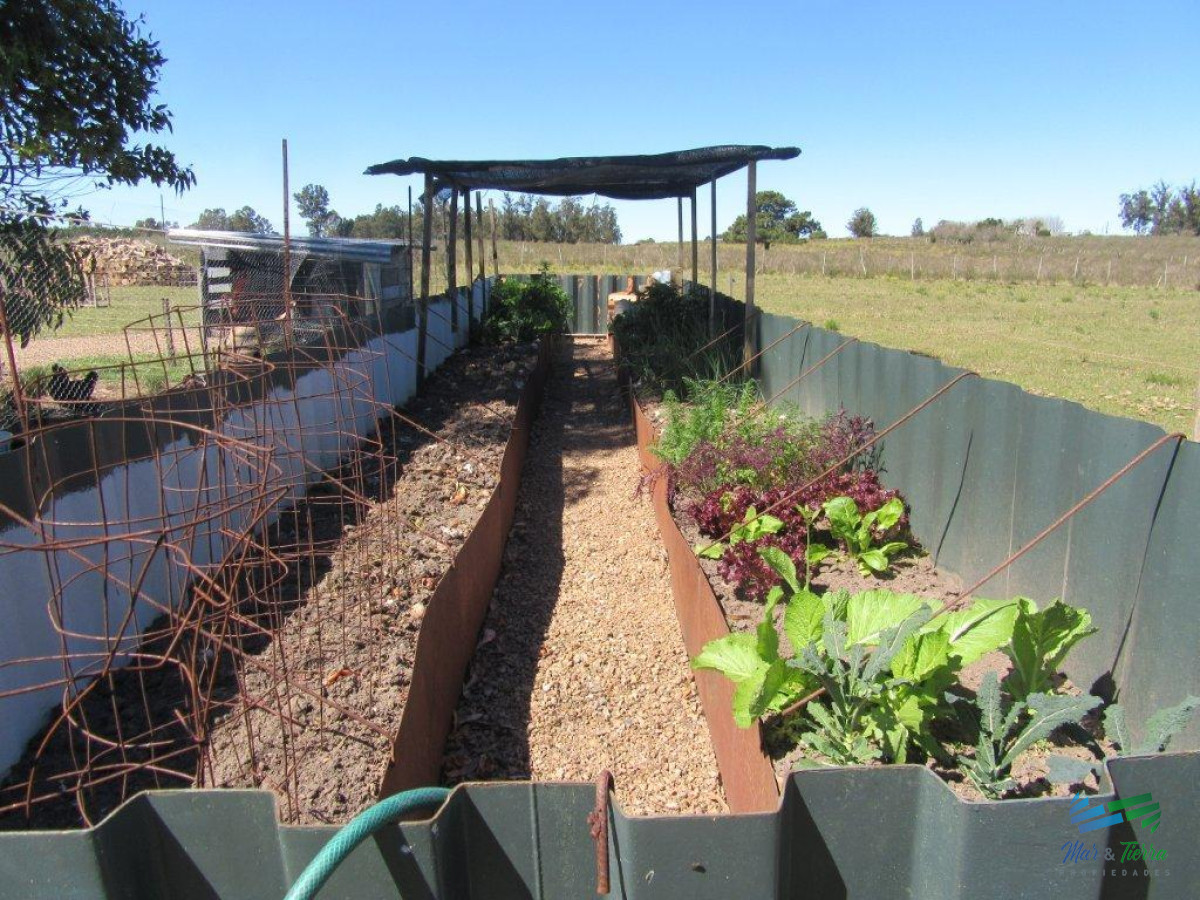 Chacra ID.3877 - 7 Has con casa a 1 hora de Mdeo y Punta.