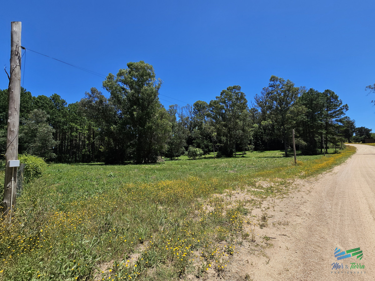 Chacra ID.5298 - En venta chacra de 1 hectarea en Laguna del Diario, Punta del Este