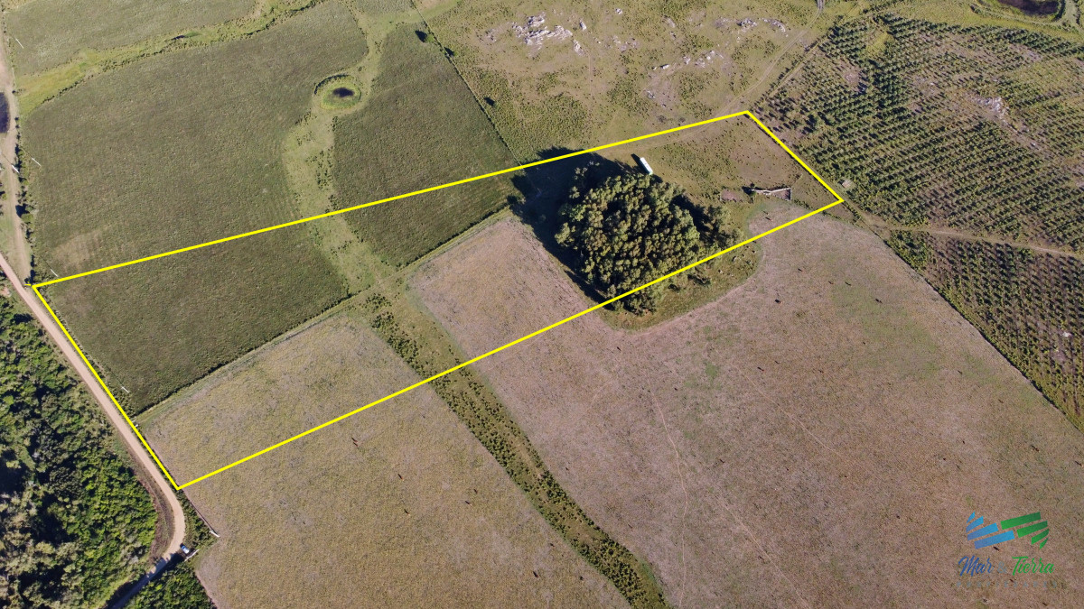 Chacra ID.5018 - Vendo chacra Ruta 9, entre ruta 12 y Pan de Azucar, Maldonado. FINANCIO.