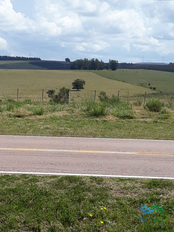 Chacra ID.4491 - Chacra 5 Has sobre R.39 a 15 Kms de Ruta 9 y 32 de Punta del Este.