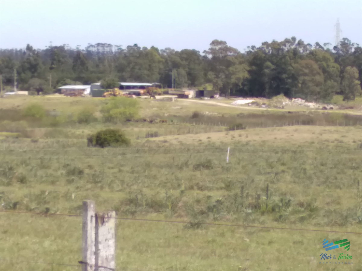 Chacra ID.3782 - 7 Has a 200 mts de Cno Sainz Martínez, José Ignacio