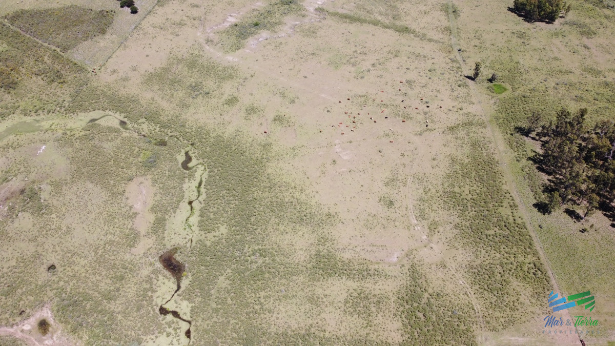 Chacra ID.4349 - Vendo chacra ruta 9, cerca de Pan de Azúcar, Maldonado. A 45´ de Punta del Este. Financia.