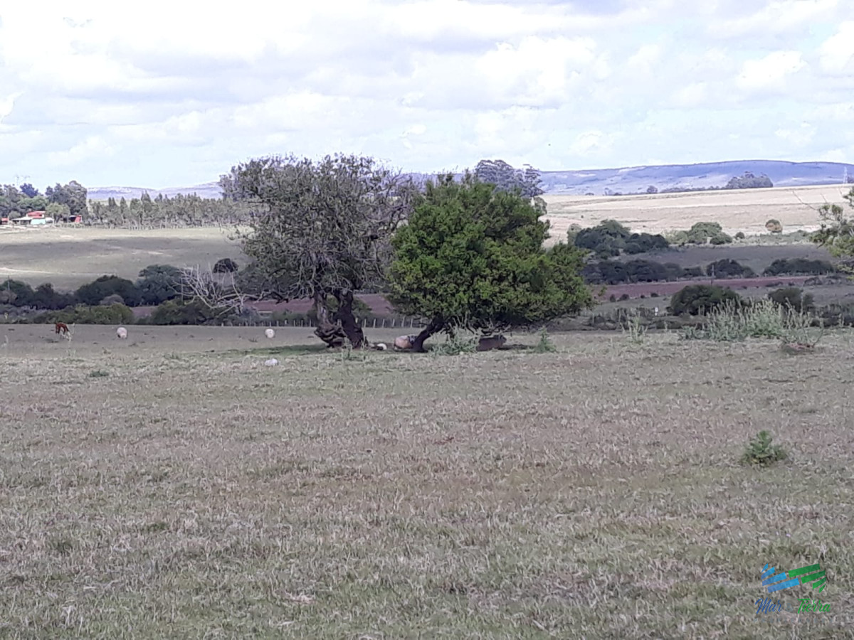 Chacra ID.4491 - Chacra 5 Has sobre R.39 a 15 Kms de Ruta 9 y 32 de Punta del Este.