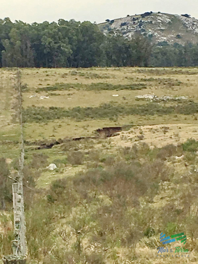 Chacra ID.3098 - Vendo chacras en Ruta 9, entre ruta 12 y Pan de Azucar, Maldonado. FINANCIO.
