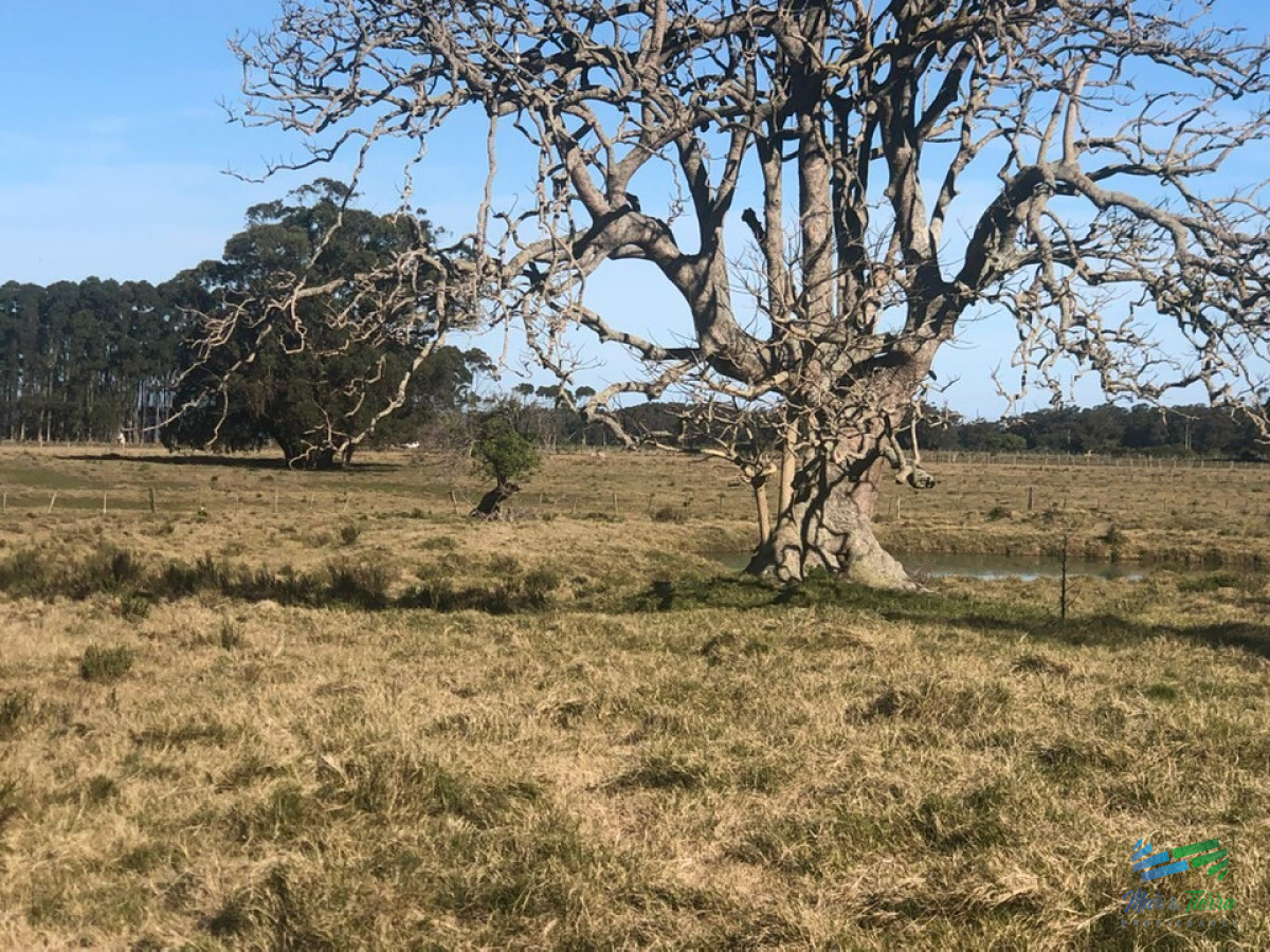 Las Garzas - GoPunta - Portal Inmobiliario de Punta del Este - Maldonado