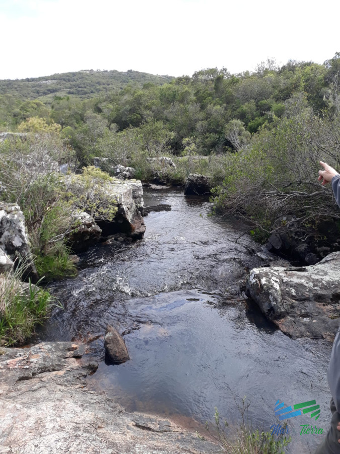 Chacra ID.4491 - Chacra 5 Has sobre R.39 a 15 Kms de Ruta 9 y 32 de Punta del Este.