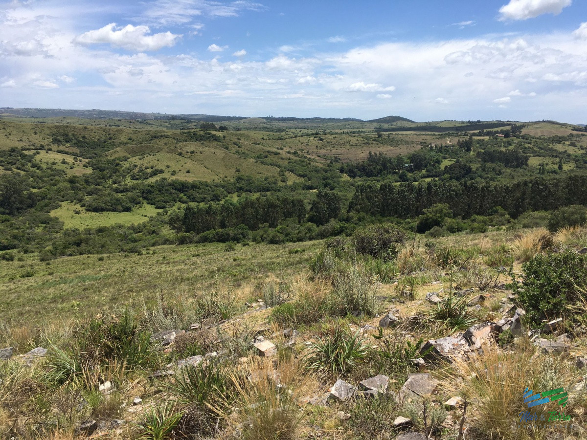 Chacra ID.4141 - Las mejores vistas de la zona IMPONENTE !
