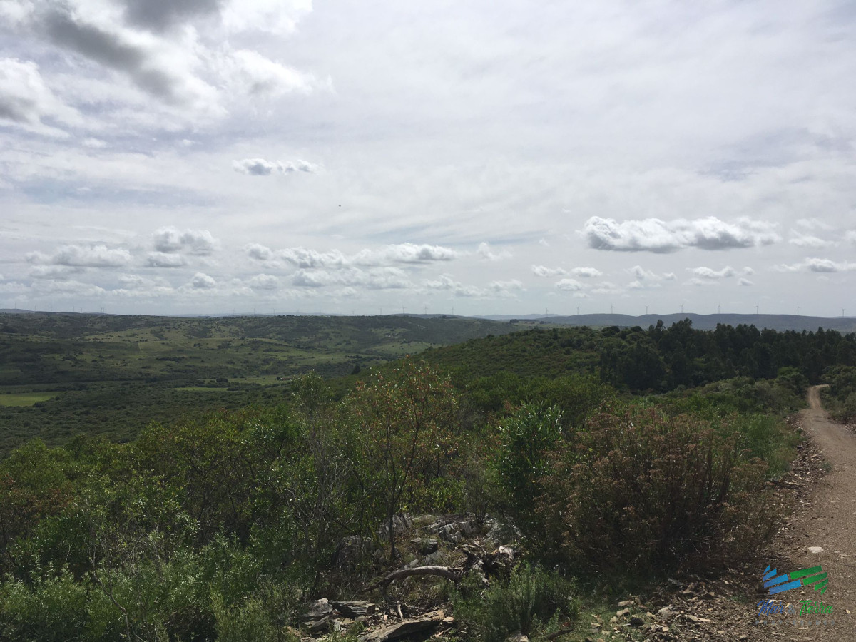 Chacra ID.4144 - Chacras con vistas increibles, monte nativo, naturaleza y tranquilidad