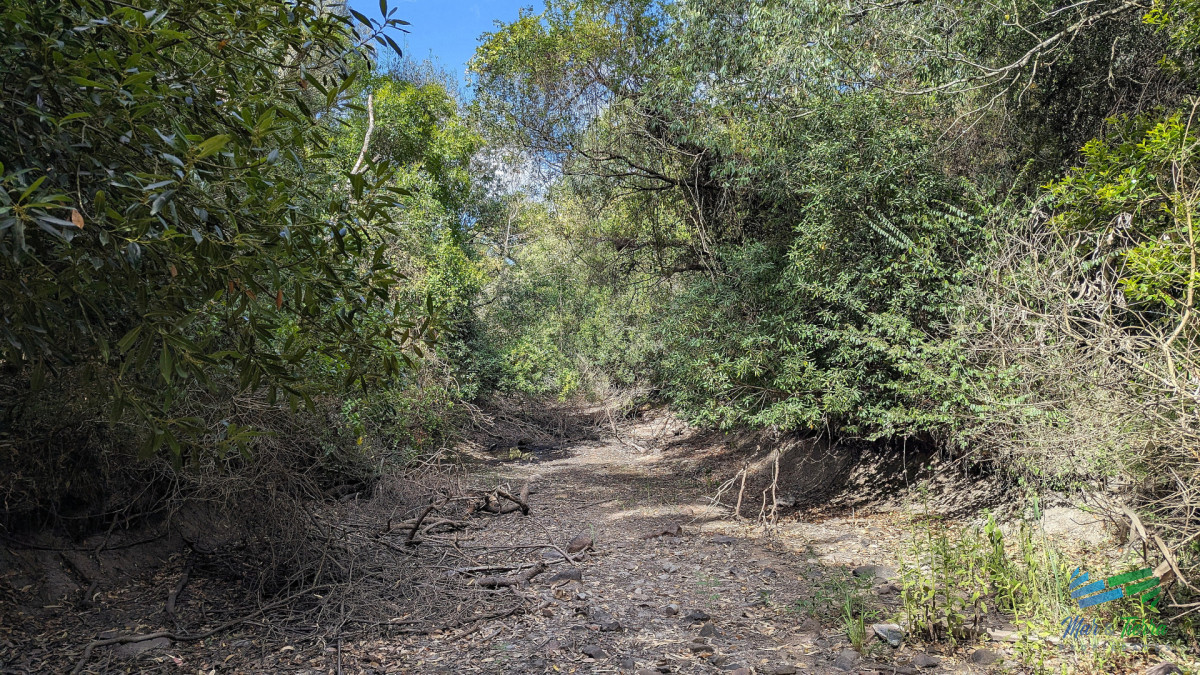 Chacra ID.5688 - Venta de chacra de 10 has frente al mar en Las Flores Piriapolis Maldonado