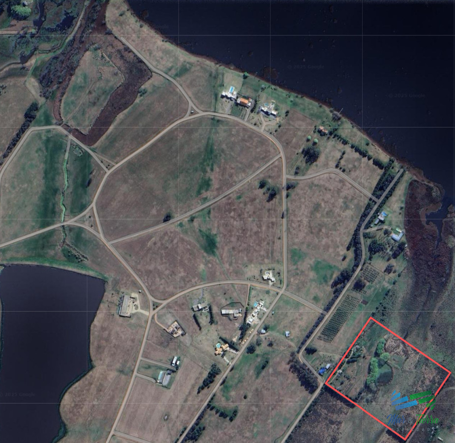 Laguna de los Cisnes - GoPunta - Portal Inmobiliario de Punta del Este - Maldonado