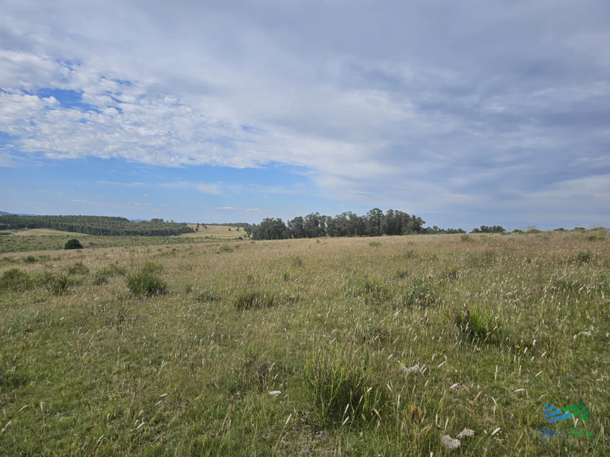 Chacra ID.5635 - En venta chacra 3 hectareas, proxima ruta 39, a pocos km de San Carlos.