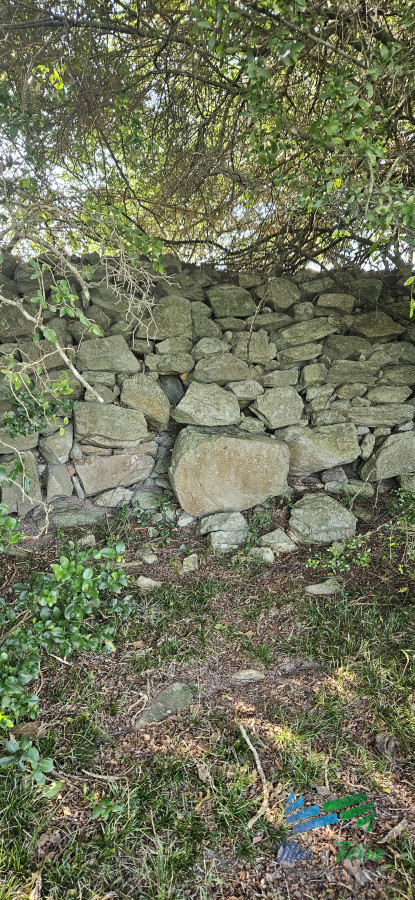 Chacra ID.4916 - Muy linda fracción de 38 Has con costa de arroyo a 1 hora de Mdeo.