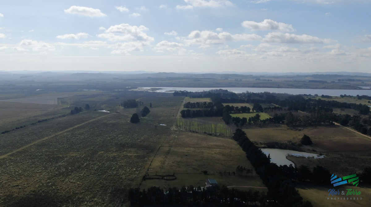 Chacra ID.3991 - Única chacra con producción de arándanos en laguna del sauce