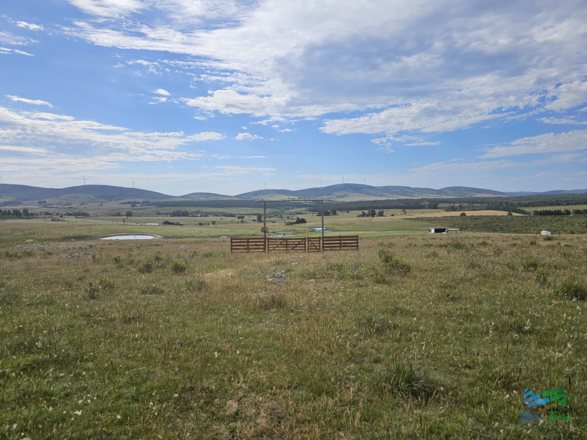 Chacra ID.5635 - En venta chacra 3 hectareas, proxima ruta 39, a pocos km de San Carlos.
