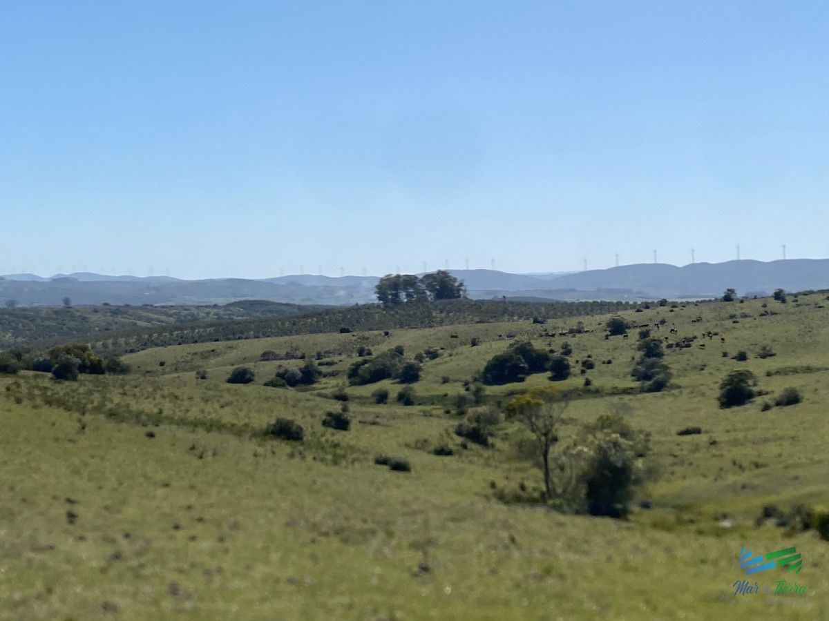 Chacra ID.4546 - Chacras con vistas Únicas, Olivos, Sierras y descanso... !! Atención Precio Rebajado !!