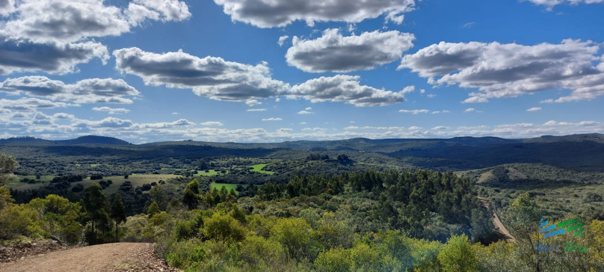 Chacra ID.4140 - 17 Has en plena Sierra de Carape, Monte Nativo y Vistas Privilegiadas