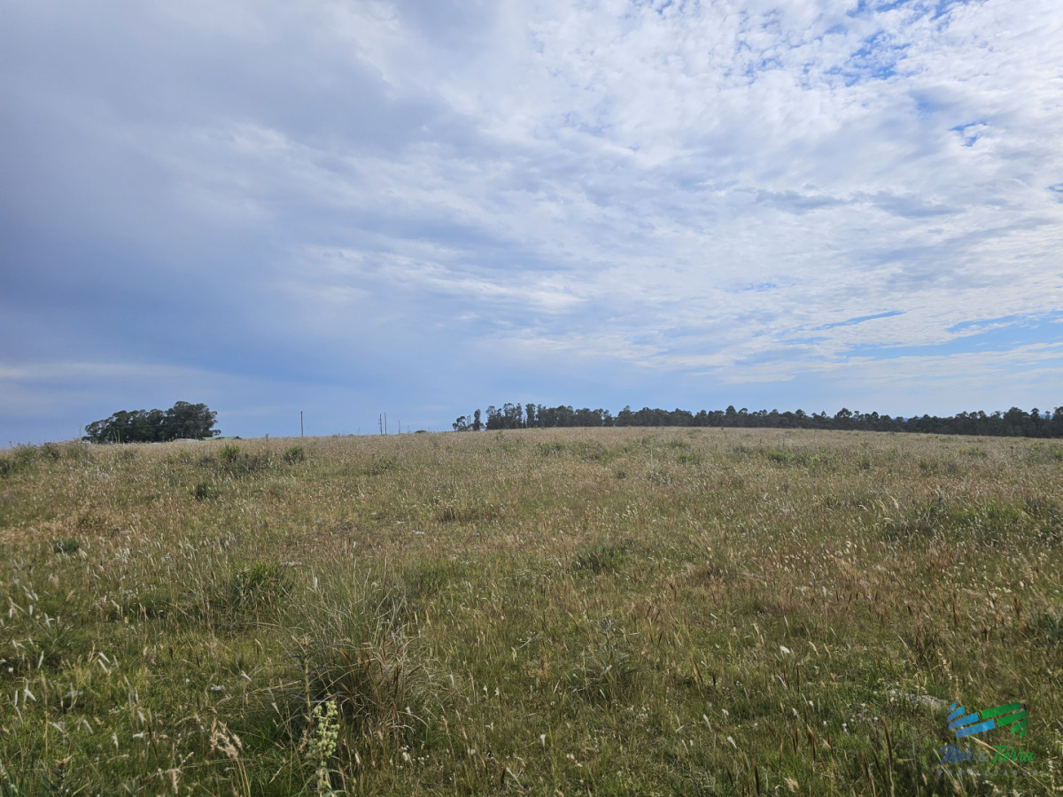 Chacra ID.5628 - En venta chacra 3 hectareas, proxima ruta 39, a pocos km de San Carlos.