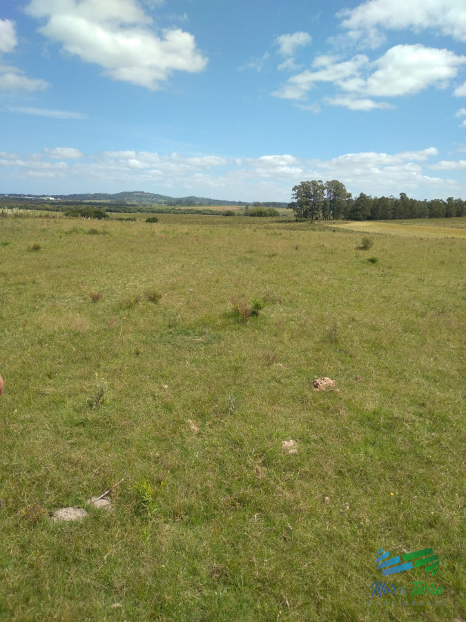 Chacra ID.3815 - 8 Has con casa a tan solo 15 minutos de Punta y 5 de San Carlos