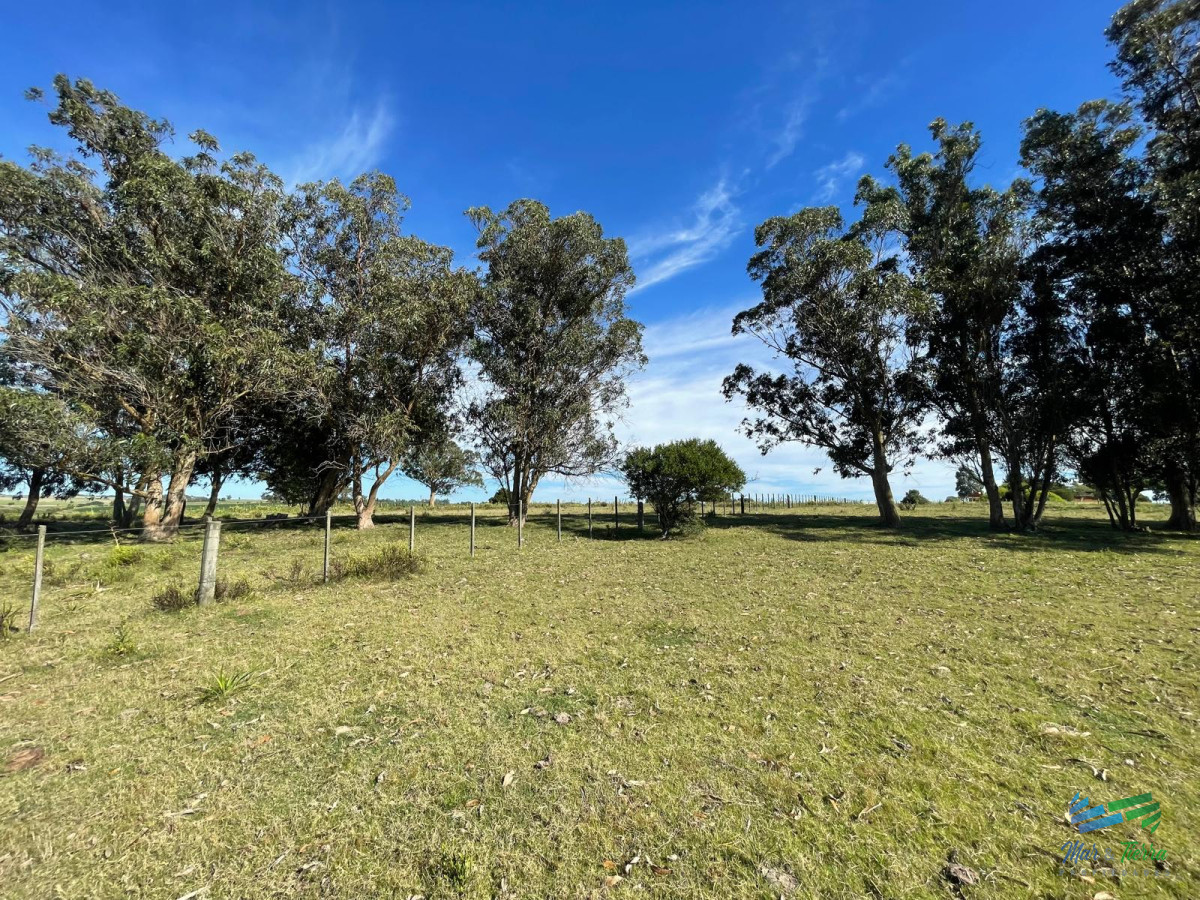 José Ignacio - GoPunta - Portal Inmobiliario de Punta del Este - Maldonado