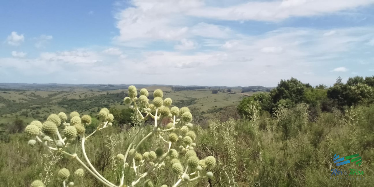 Chacra ID.4139 - Excelentes vistas y ubicación, especial para fraccionar !