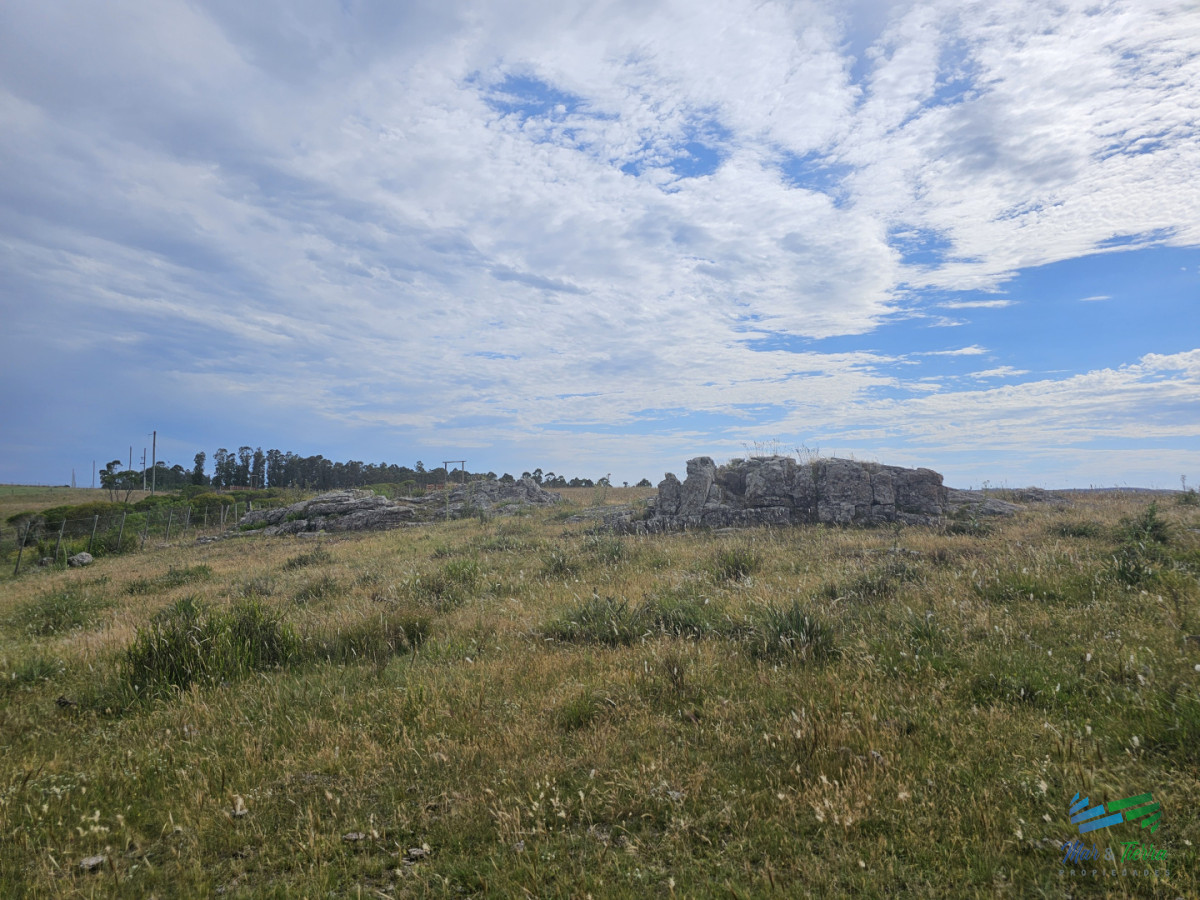 Chacra ID.5628 - En venta chacra 3 hectareas, proxima ruta 39, a pocos km de San Carlos.