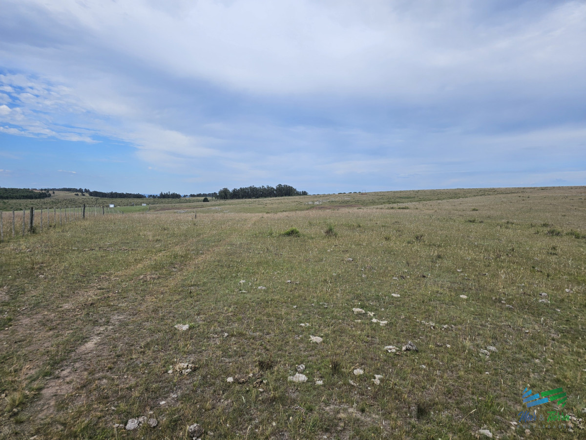 Chacra ID.5633 - En venta chacra 3 hectareas, proxima ruta 39, a pocos km de San Carlos.