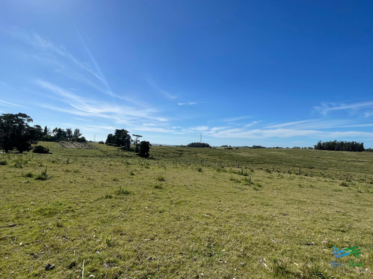 Chacra ID.5248 - Linda Fracción a 15 minutos de José Ignacio, Arroyo y Arbolada, no se la pierda !
